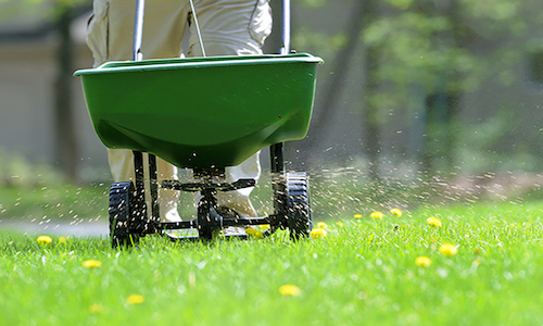 lawn fertilizing service