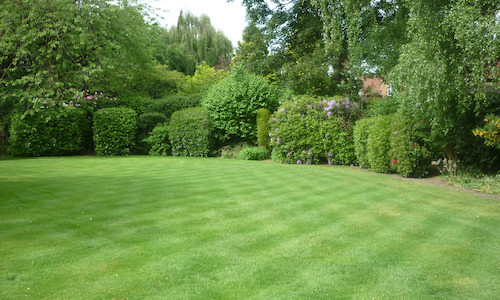 lawn treatment Danbury