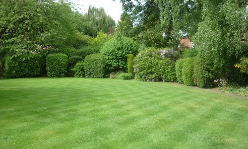 lawn treatment