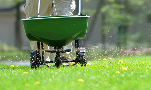 lawn fertilizing service Tacoma