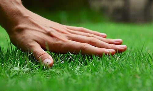 lawn maintenance Yakima